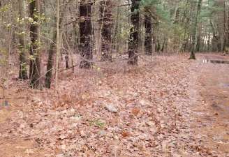 Image of The Pines Trails at Tewksbury State Hospital Cemetery Conservation Area park in Tewksbury, Massachusetts, United States Image of The Pines Trails at Tewksbury State Hospital Cemetery Conservation Area park in tewksbury, massachusetts, united-states