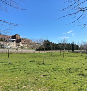 Image of Parque Canino Contrafuerte park in Salamanca, Salamanca, Spain Image of Parque Canino Contrafuerte park in salamanca, salamanca, spain