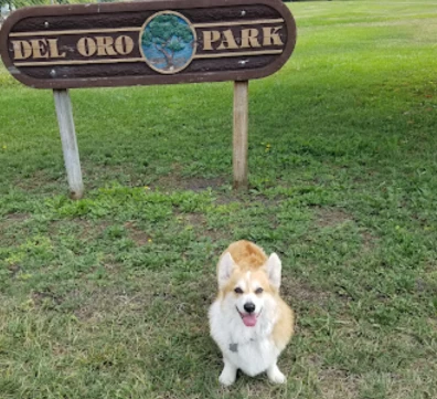 Image of Del Oro Park park in Petaluma, California, United States Image of Del Oro Park park in petaluma, california, united-states
