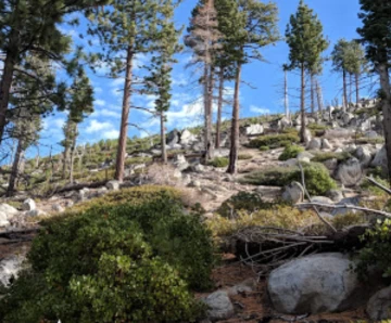 Image of Van Sickle Bi-State Park park in South Lake Tahoe, California, United States Image of Van Sickle Bi-State Park park in south-lake-tahoe, california, united-states