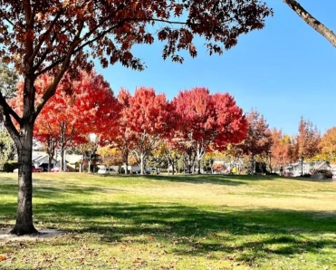 Image of Woodland Park, Visalia park in Visalia, California, United States Image of Woodland Park, Visalia park in visalia, california, united-states