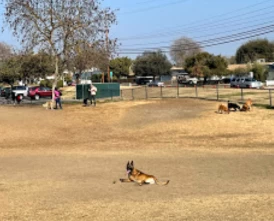 Image of Hidden Valley Dog Park park in Hanford, California, United States Image of Hidden Valley Dog Park park in hanford, california, united-states