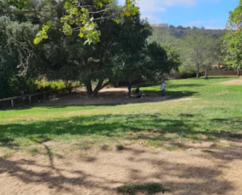 Image of Dog Park at Orcutt Community Park park in Santa Maria, California, United States Image of Dog Park at Orcutt Community Park park in santa-maria, california, united-states