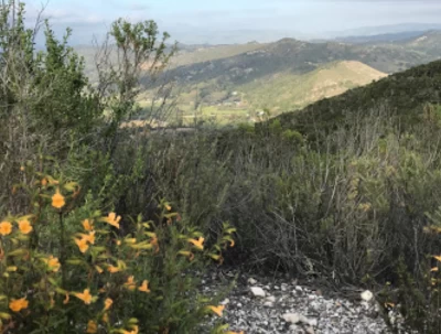 Image of Ontario Ridge Trailhead park in San Luis Obispo, California, United States Image of Ontario Ridge Trailhead park in san-luis-obispo, california, united-states