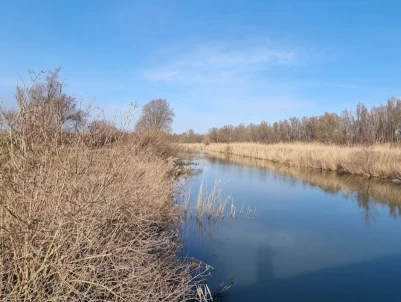 Image of Oostvaarderplassen - Hollandse Hout park in Lelystad, Flevoland, Netherlands Image of Oostvaarderplassen - Hollandse Hout park in lelystad, flevoland, netherlands