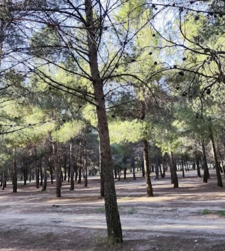 Image of Parque del Humedal park in Coslada, Madrid, Spain Image of Parque del Humedal park in coslada, madrid, spain