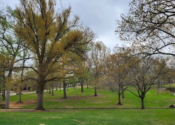 Image of Bergfeld Park park in Tyler, Texas, United States Image of Bergfeld Park park in tyler, texas, united-states