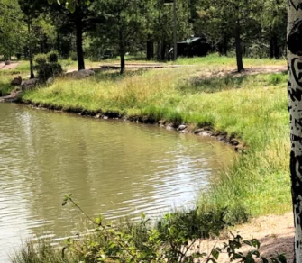 Image of Fox Run Regional Park Trailhead park in Colorado Springs, Colorado, United States Image of Fox Run Regional Park Trailhead park in colorado-springs, colorado, united-states