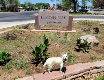 Image of Lincoln Park park in Grand Junction, Colorado, United States Image of Lincoln Park park in grand-junction, colorado, united-states