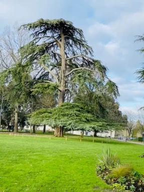 Image of Parc de la Perraudière park in Saint-Cyr-sur-Loire, Indre-et-Loire, France Image of Parc de la Perraudière park in saint-cyr-sur-loire, indre-et-loire, france
