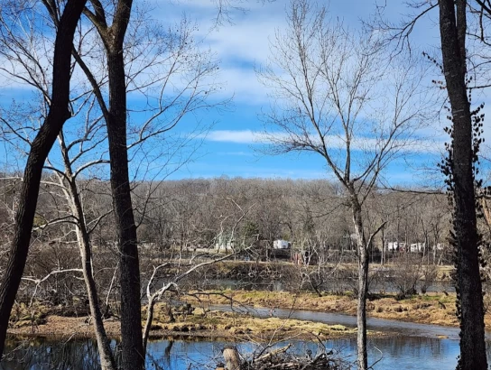 Image of Big Spring Park park in Cotter, Arkansas, United States Image of Big Spring Park park in cotter, arkansas, united-states