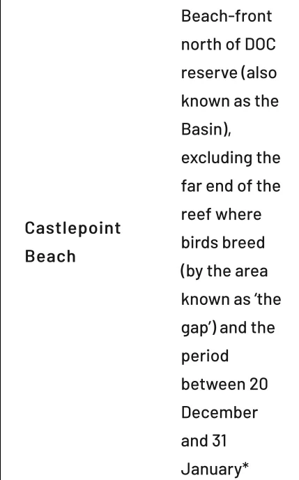 Image of Castlepoint Beach park in Castlepoint, Wellington, New Zealand Image of Castlepoint Beach park in castlepoint, wellington, new-zealand