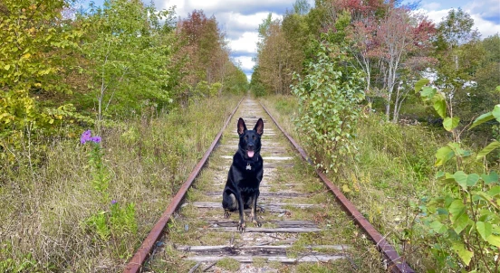 Image of Beaverbank abandoned train tracks park in Beaver Bank, Nova Scotia, Canada Image of Beaverbank abandoned train tracks park in beaver-bank, nova-scotia, canada