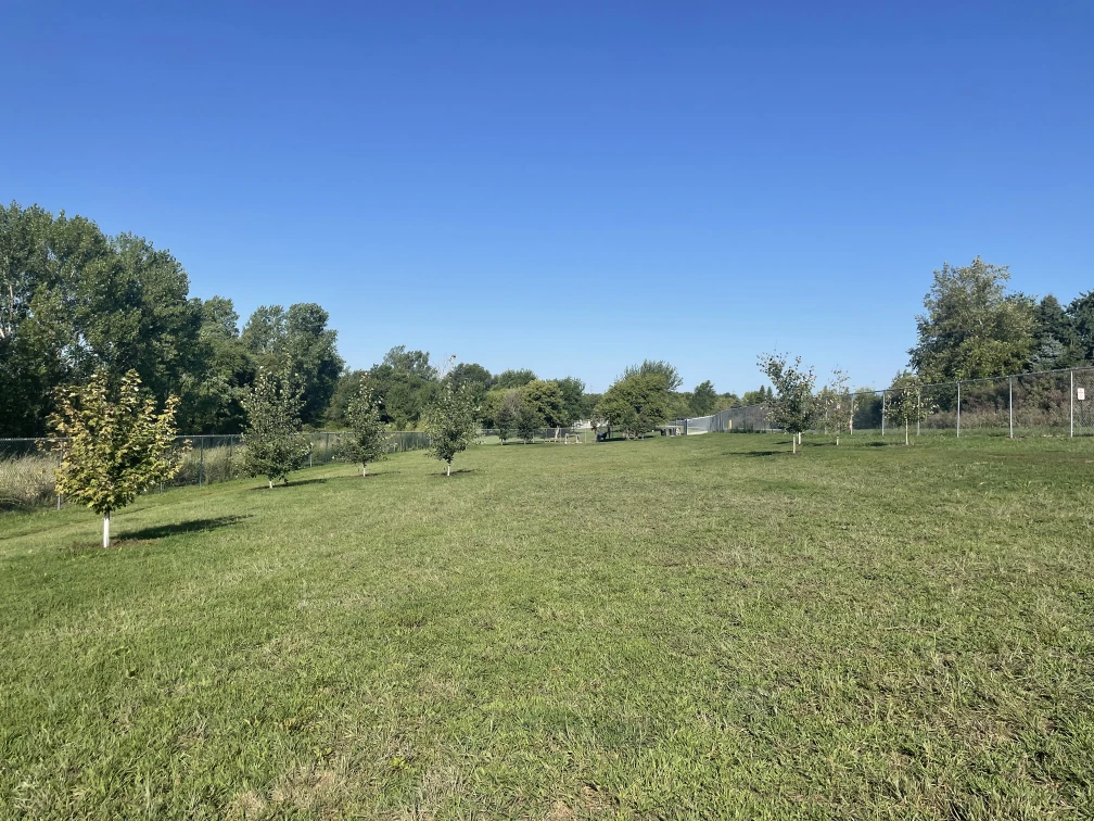 Image of Walnut Creek Leash Free Dog Park park in Papillion, Nebraska, United States Image of Walnut Creek Leash Free Dog Park park in papillion, nebraska, united-states