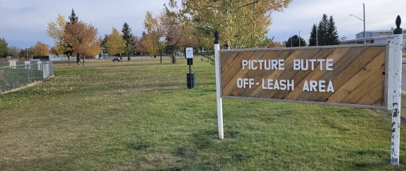 Image of Picture Butte Off-Leash Area park in Picture Butte, Alberta, Canada Image of Picture Butte Off-Leash Area park in picture-butte, alberta, canada