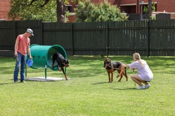 Image of Tarleton Dog Park park in Stephenville, Texas, United States Image of Tarleton Dog Park park in stephenville, texas, united-states