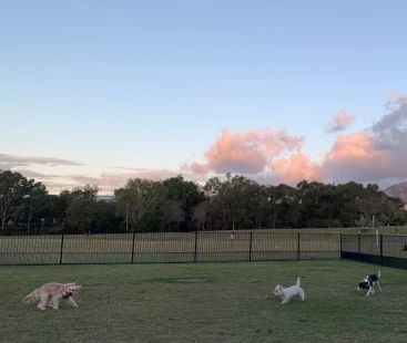 Image of Riverside Green Offleash Dog Park park in Townsville, Queensland, Australia Image of Riverside Green Offleash Dog Park park in townsville, queensland, australia