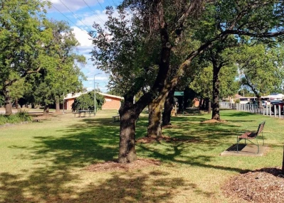 Image of Lions Park park in Rutherglen, Victoria, Australia Image of Lions Park park in rutherglen, victoria, australia