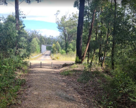 Image of Bulahdelah Mountain Park park in Bulahdelah, New South Wales, Australia Image of Bulahdelah Mountain Park park in bulahdelah, new-south-wales, australia