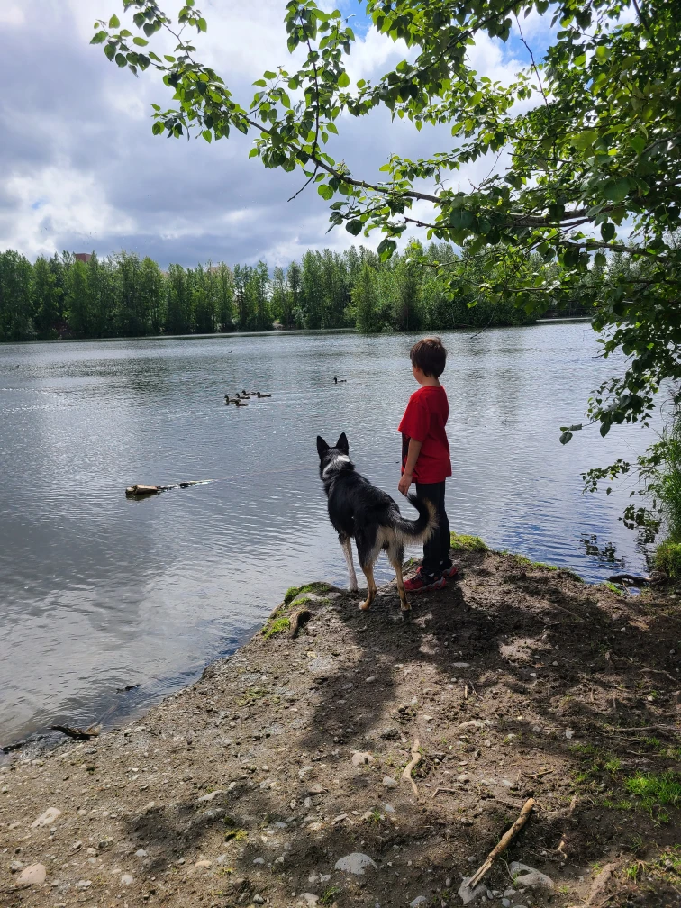 Image of University Lake Dog Park park in Anchorage, Alaska, United States Image of University Lake Dog Park park in Anchorage, Alaska, United States