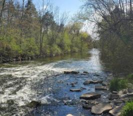 Image of Carmeuse Limestone Valley Trail park in Ingersoll, Ontario, Canada Image of Carmeuse Limestone Valley Trail park in ingersoll, ontario, canada