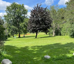 Image of Weldon Park park in London, Ontario, Canada Image of Weldon Park park in london, ontario, canada