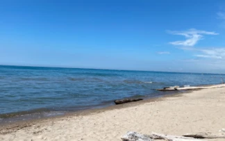 Image of Pinery Provincal Park Dog Beach Area 1 park in Lambton Shores, Ontario, Canada Image of Pinery Provincal Park Dog Beach Area 1 park in lambton-shores, ontario, canada