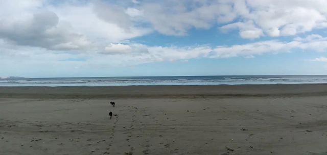 Image of 90 Mile Beach park in Te Hiku Community, Northland, New Zealand Image of 90 Mile Beach park in te-hiku-community, northland, new-zealand