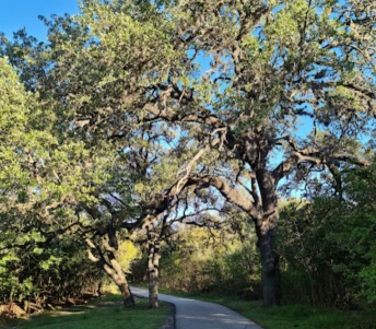 Image of Oakwell TrailHead Park park in San Antonio, Texas, United States Image of Oakwell TrailHead Park park in san-antonio, texas, united-states