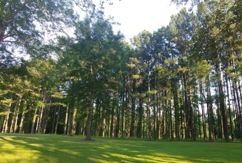 Image of Poplarville City Park park in Poplarville, Mississippi, United States Image of Poplarville City Park park in poplarville, mississippi, united-states