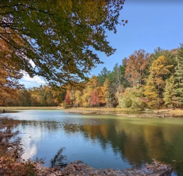 Image of Morgan-Monroe State Forest park in Benton, Arkansas, United States Image of Morgan-Monroe State Forest park in benton, arkansas, united-states