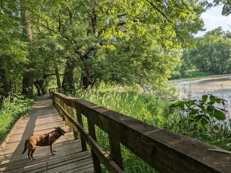 Image of Killbuck Wetlands park in Anderson, California, United States Image of Killbuck Wetlands park in anderson, california, united-states