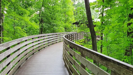 Image of Pondicherry Park park in Bridgton, Maine, United States Image of Pondicherry Park park in bridgton, maine, united-states
