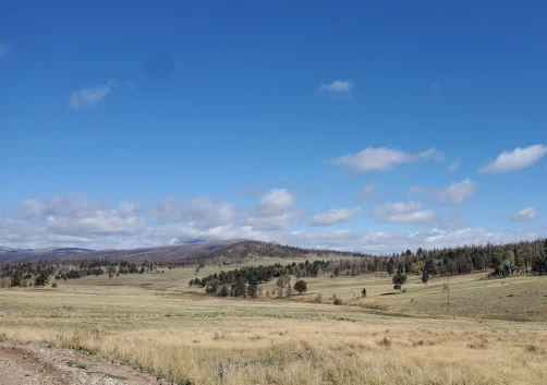 Image of Forbes Park - Colorado park in Costilla County, Colorado, United States Image of Forbes Park - Colorado park in costilla-county, colorado, united-states