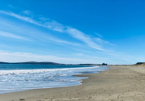 Image of Doran Regional Park - Paid park in Bodega Bay, California, United States Image of Doran Regional Park - Paid park in bodega-bay, california, united-states