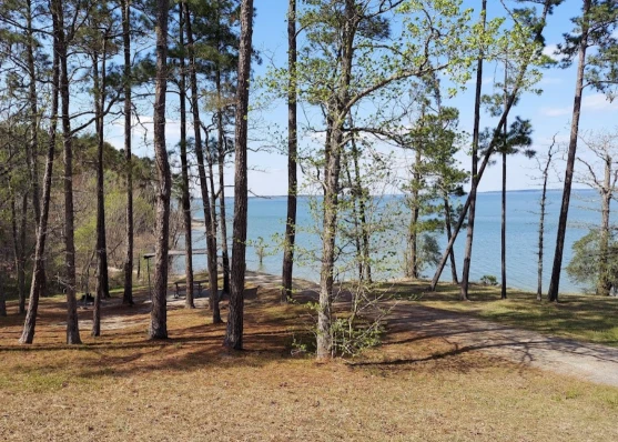 Image of Twin Dikes Park park in Brookeland, Texas, United States Image of Twin Dikes Park park in brookeland, texas, united-states