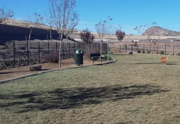 Image of Granville Dog Park (Private Park) park in Prescott Valley, Arizona, United States Image of Granville Dog Park (Private Park) park in prescott-valley, arizona, united-states