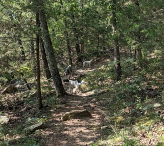 Image of Lake Wilson Park park in Fayetteville, Arkansas, United States Image of Lake Wilson Park park in fayetteville, arkansas, united-states