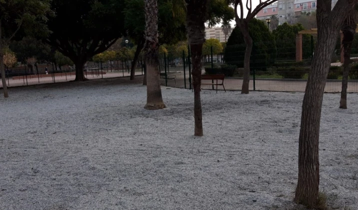 Image of Parque María Luisa park in Malaga, Malaga, Spain Image of Parque María Luisa park in malaga, malaga, spain