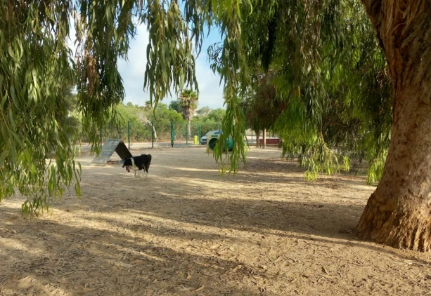 Image of Parque Canino Palmeras park in Pilar de la Horadada, Alacant, Spain Image of Parque Canino Palmeras park in pilar-de-la-horadada, alacant, spain