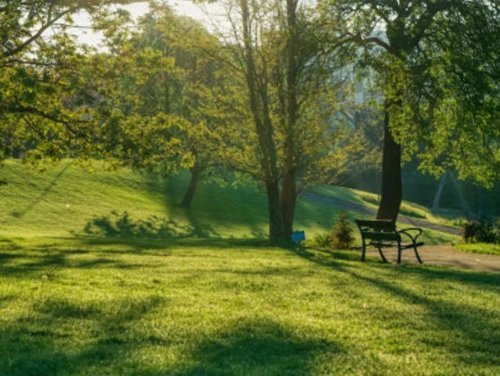Image of Pannett Park park in Whitby, England, United Kingdom Image of Pannett Park park in whitby, england, united-kingdom
