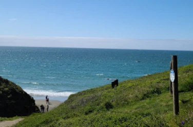 Image of Pinnacle Gulch Trail - On-Leash Dog Friendly park in Bodega Bay, California, United States Image of Pinnacle Gulch Trail - On-Leash Dog Friendly park in bodega-bay, california, united-states