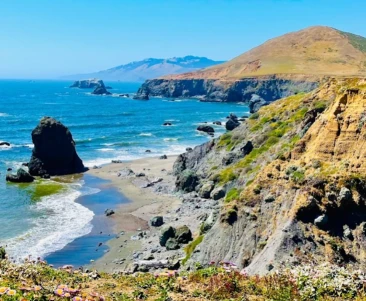 Image of Kortum Trail - On-Leash Dog Friendly park in Sonoma County, California, United States Image of Kortum Trail - On-Leash Dog Friendly park in sonoma-county, california, united-states
