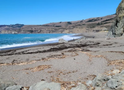 Image of Goat Rock State Beach - Sonoma Coast State Park park in Jenner, California, United States Image of Goat Rock State Beach - Sonoma Coast State Park park in jenner, california, united-states