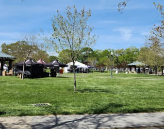 Image of Windsor Town Green -- Dog Friendly park in Windsor, California, United States Image of Windsor Town Green -- Dog Friendly park in windsor, california, united-states