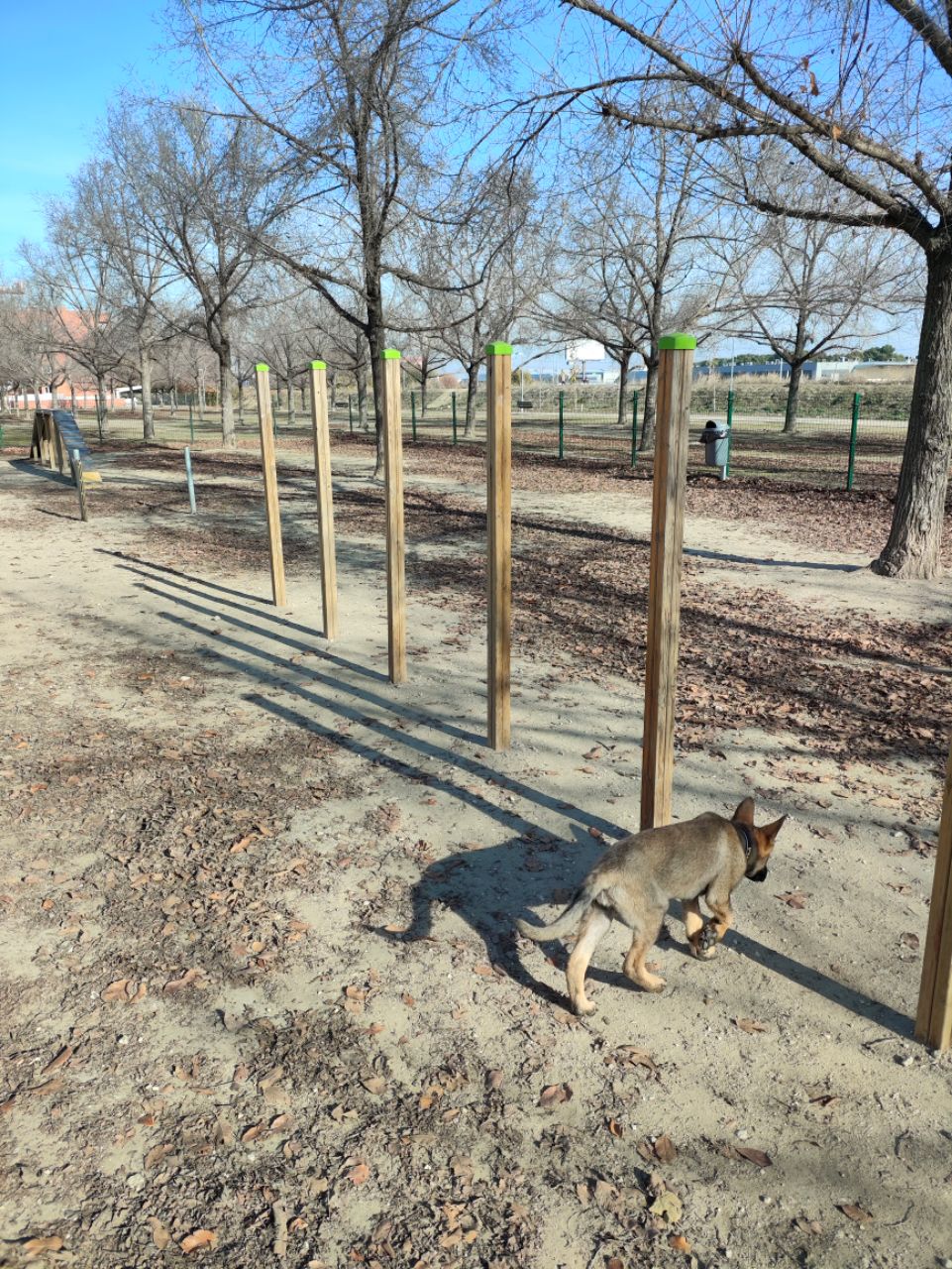 Image of Parque de perros park in Pinto, Madrid, Spain Image of Parque de perros park in pinto, madrid, spain