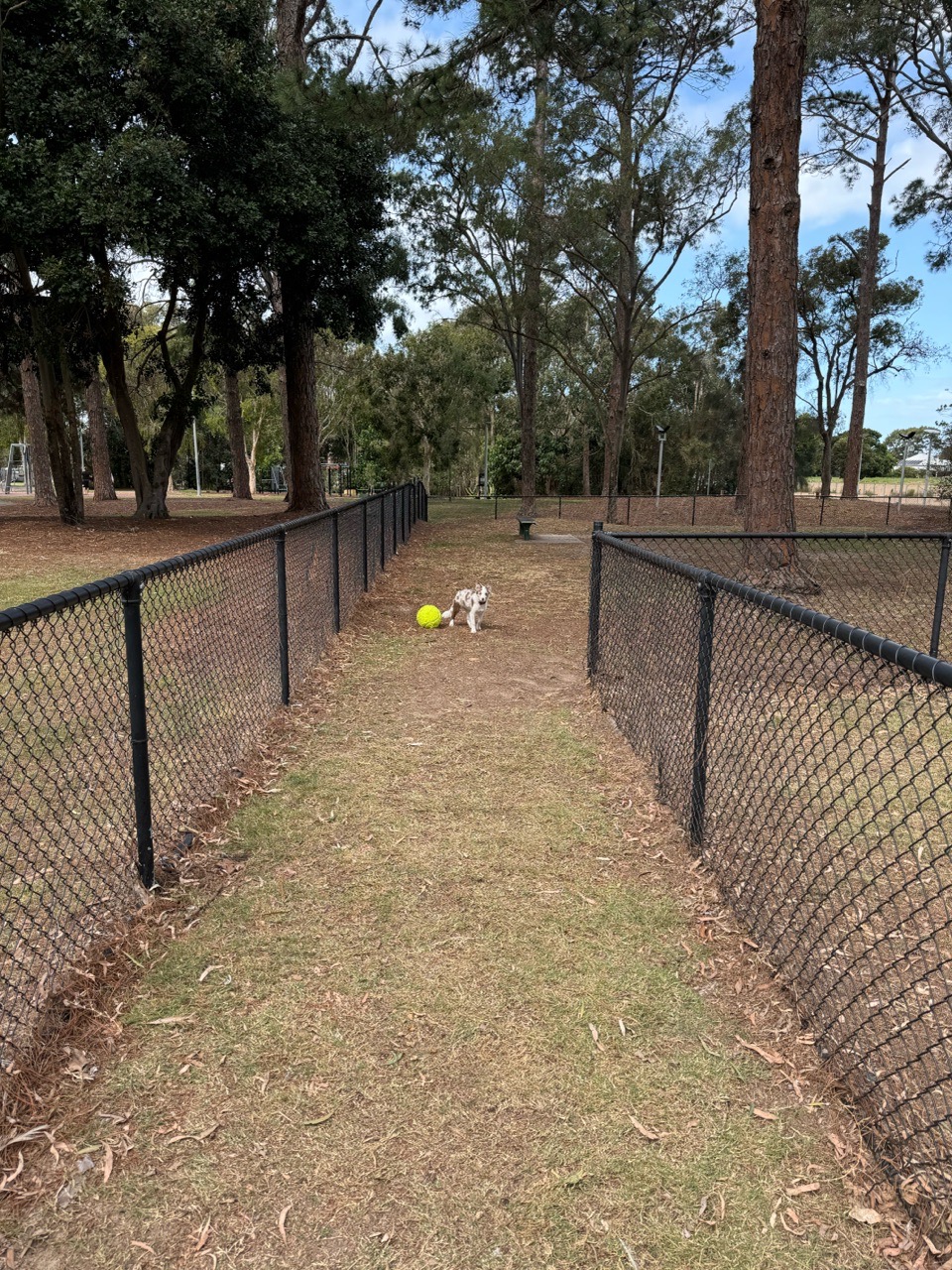 Image of Claverton Park park in Deception Bay, Queensland, Australia Image of Claverton Park park in deception-bay, queensland, australia