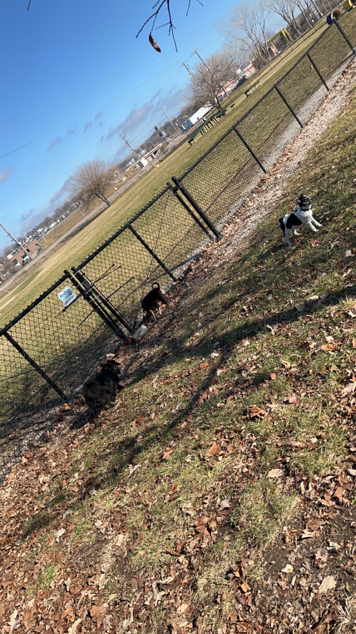 Image of E. H. Young Memorial Off-Leash Dog Park park in Riverside, California, United States Image of E. H. Young Memorial Off-Leash Dog Park park in riverside, california, united-states