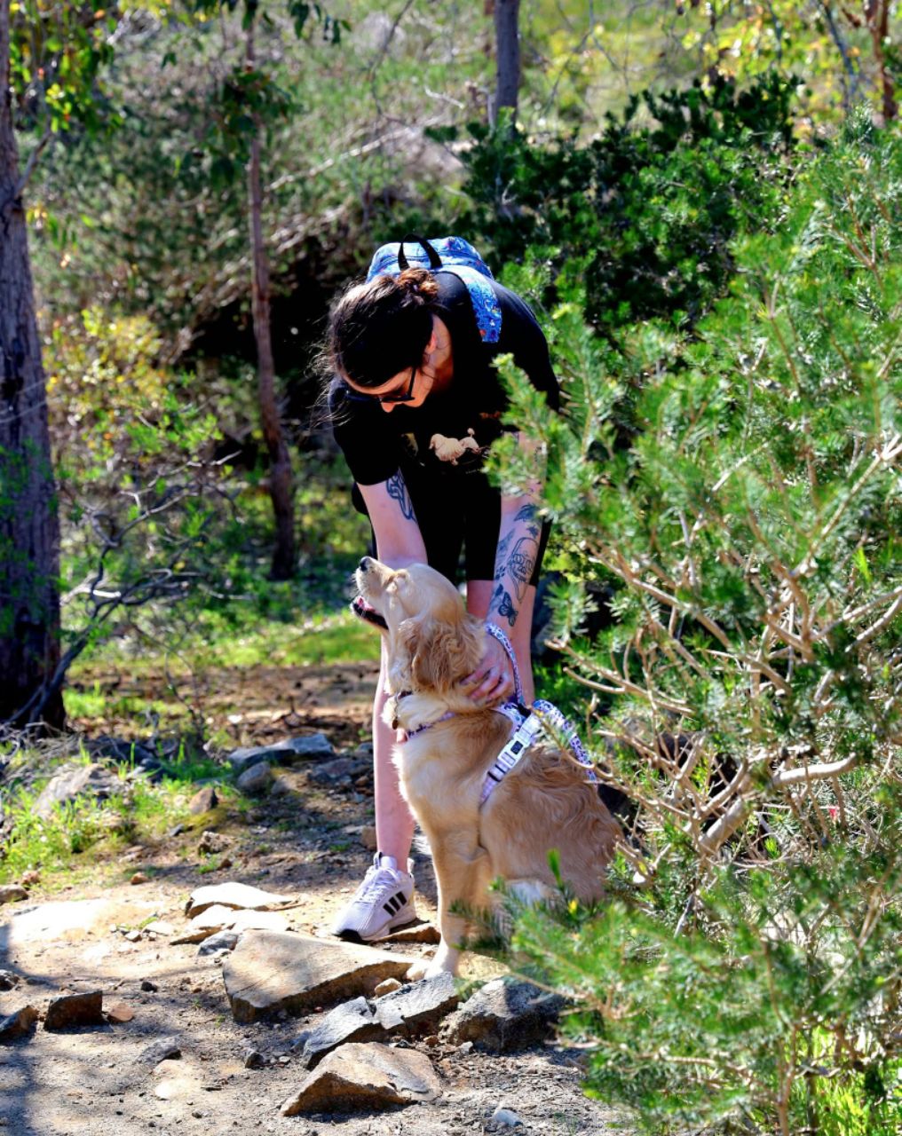 Image of Ellis Brook Valley Reserve park in City of Gosnells, Western Australia, Australia Image of Ellis Brook Valley Reserve park in city-of-gosnells, western-australia, australia