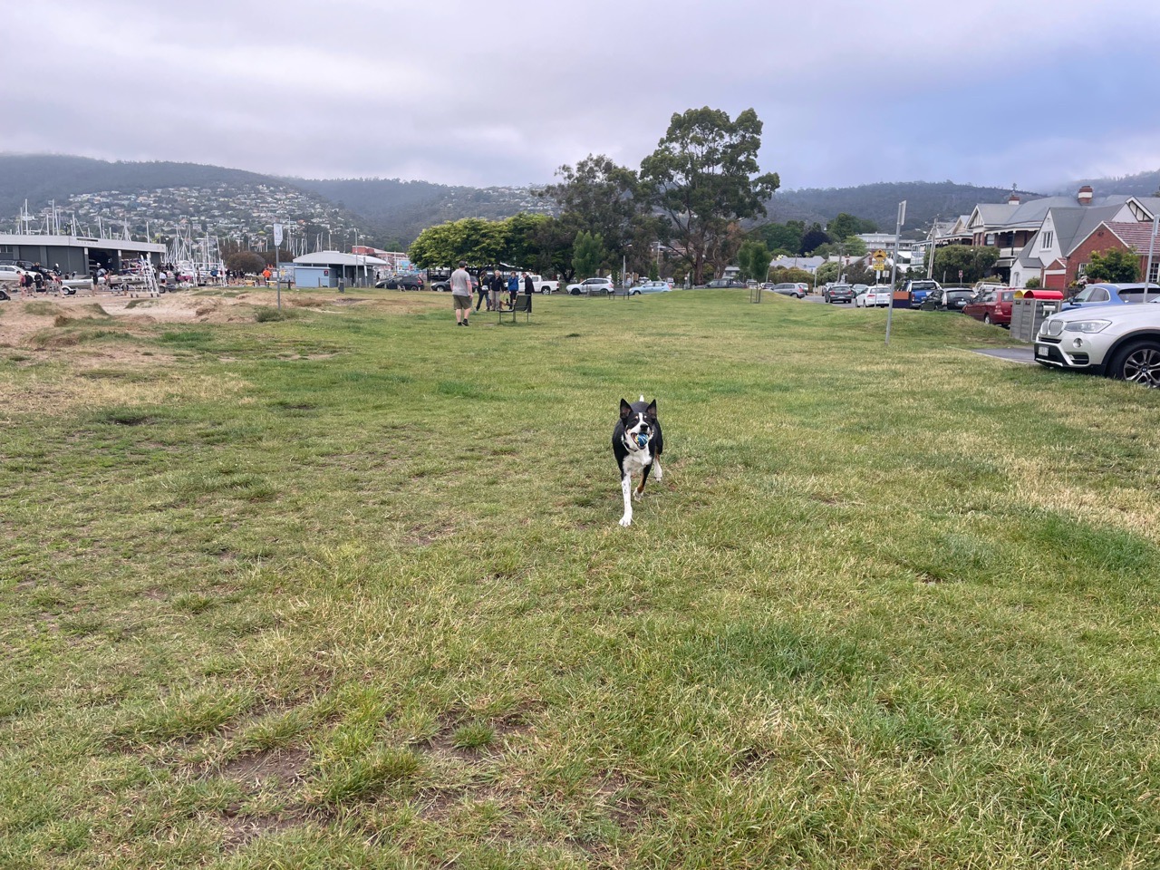 Image of Short Beach Hobart Tasmania park in Hobart, Tasmania, Australia Image of Short Beach Hobart Tasmania park in hobart, tasmania, australia
